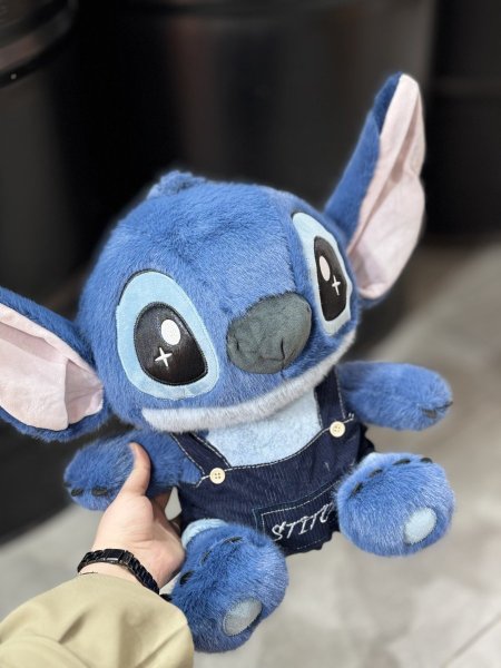 ستيتش ابرهول